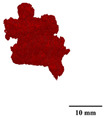 Figure 36