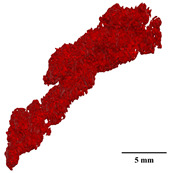 Figure 37