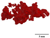 Figure 38