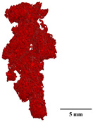 Figure 39