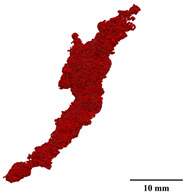 Figure 40