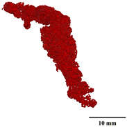 Figure 41