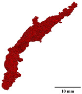 Figure 42
