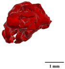 Figure 43