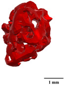 Figure 44
