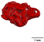 Figure 45