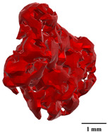 Figure 46