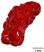 Figure 47