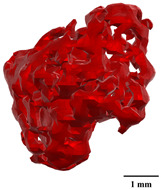 Figure 48