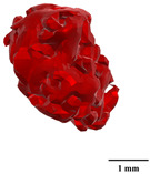 Figure 49