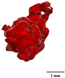 Figure 50
