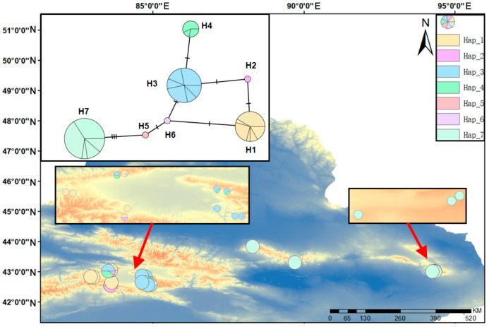 Figure 5
