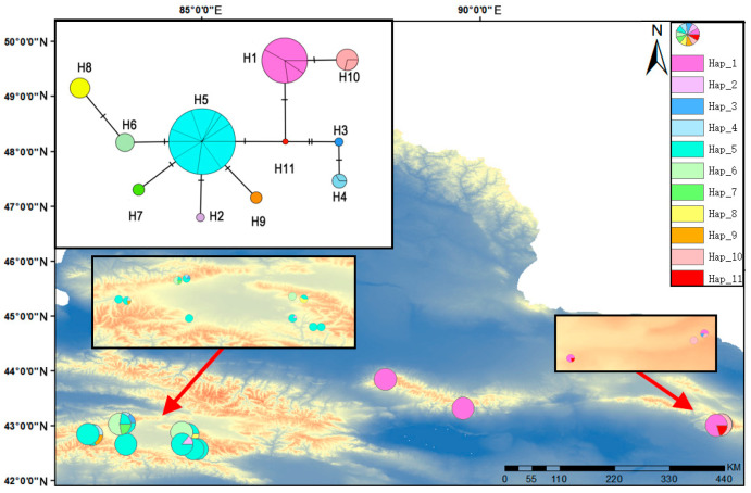 Figure 6