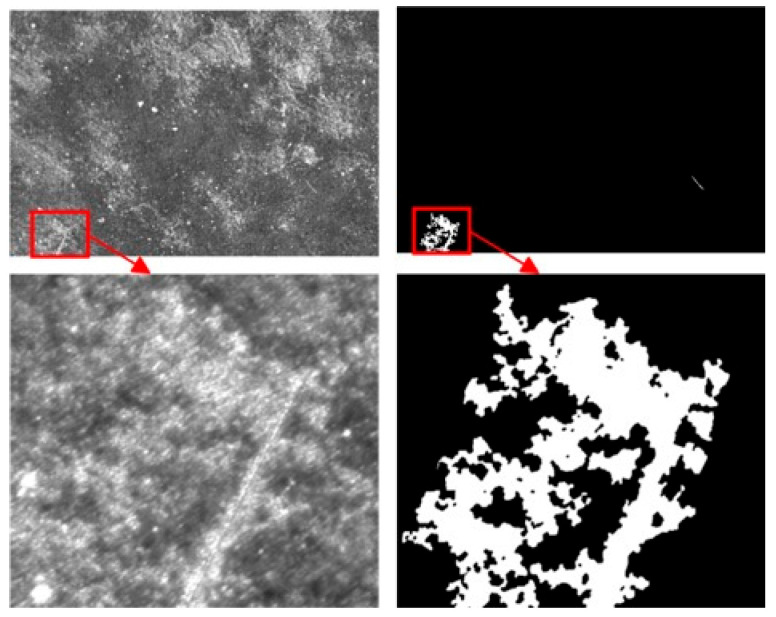 Figure 14