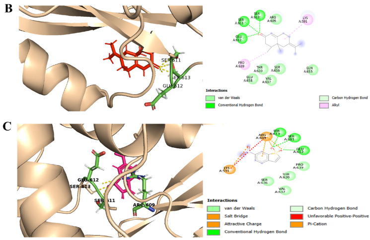 Figure 12
