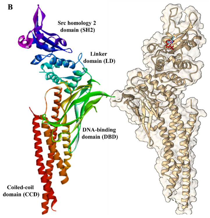 Figure 14