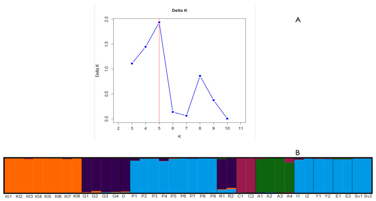 Figure 5
