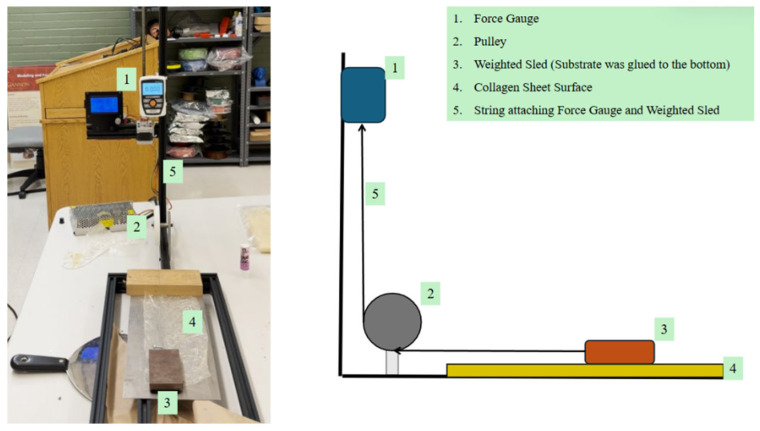 Figure 5