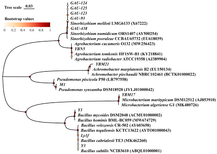 Figure 1