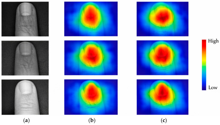 Figure 18