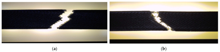 Figure 31