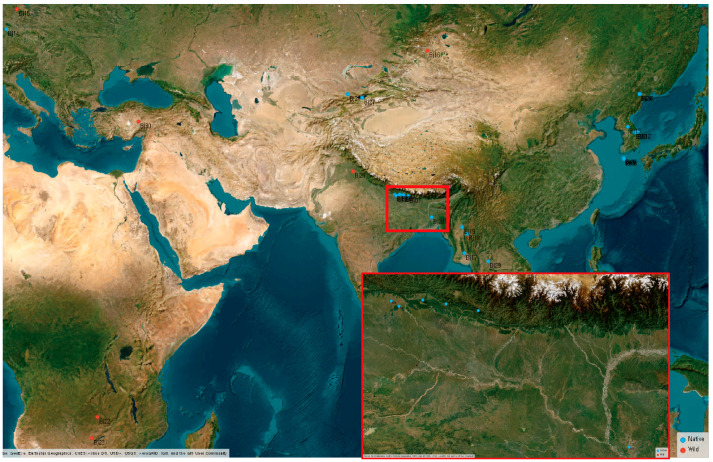 Figure 2