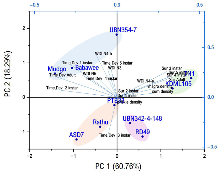 Figure 9
