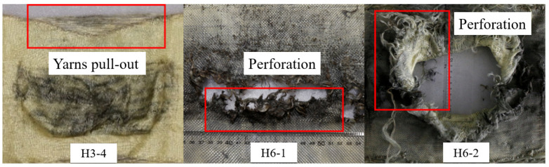Figure 24