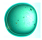 Figure 28