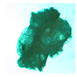 Figure 35