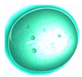 Figure 36