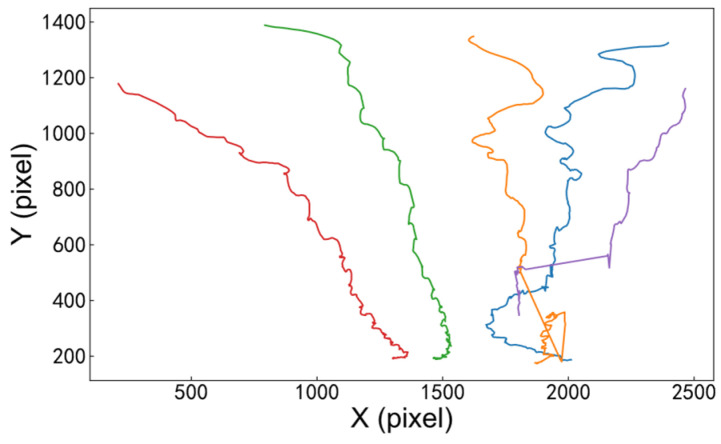 Figure 4