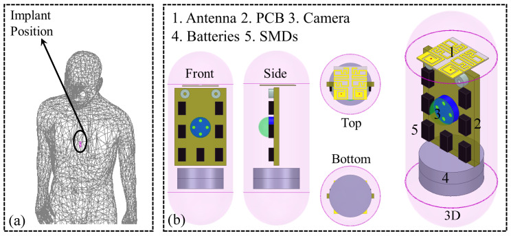 Figure 2