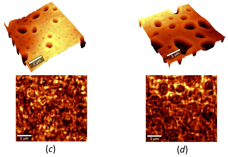 Figure 17