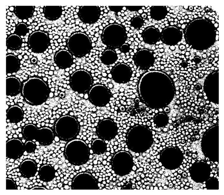 Figure 18