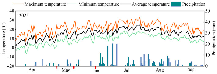 Figure 11