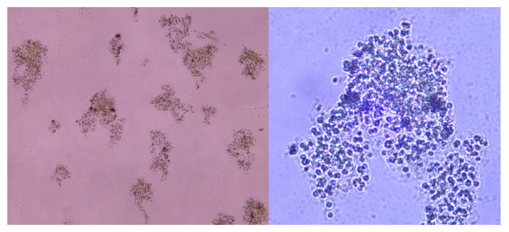 Figure 15