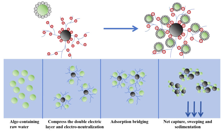 Figure 18