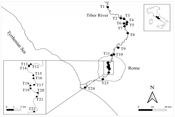 Figure 10