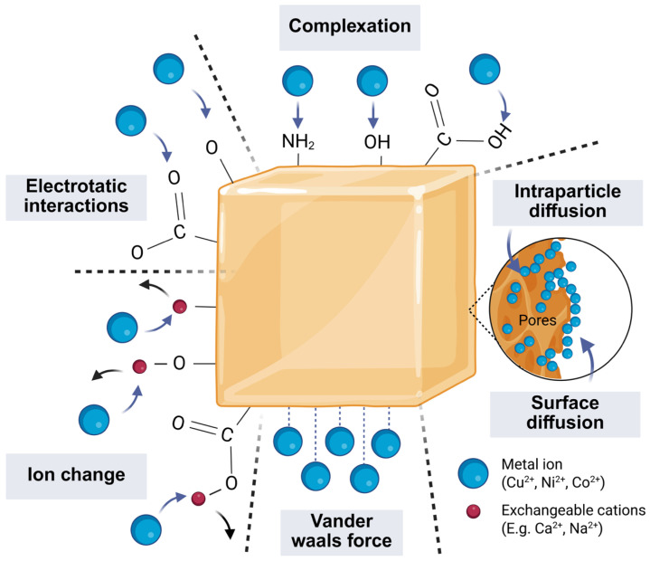 Figure 12