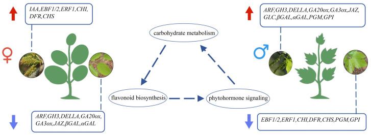 Figure 9
