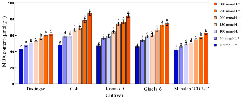 Figure 5