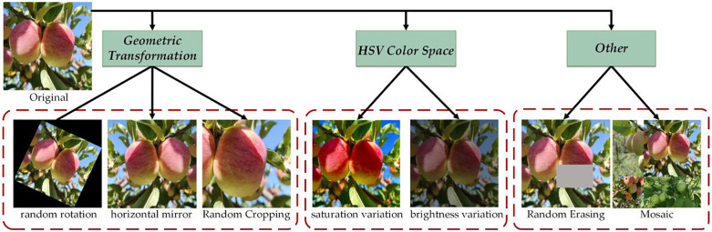 Fig 2