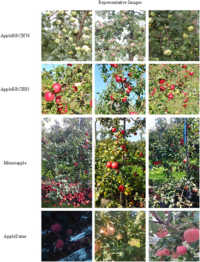 Fig 12