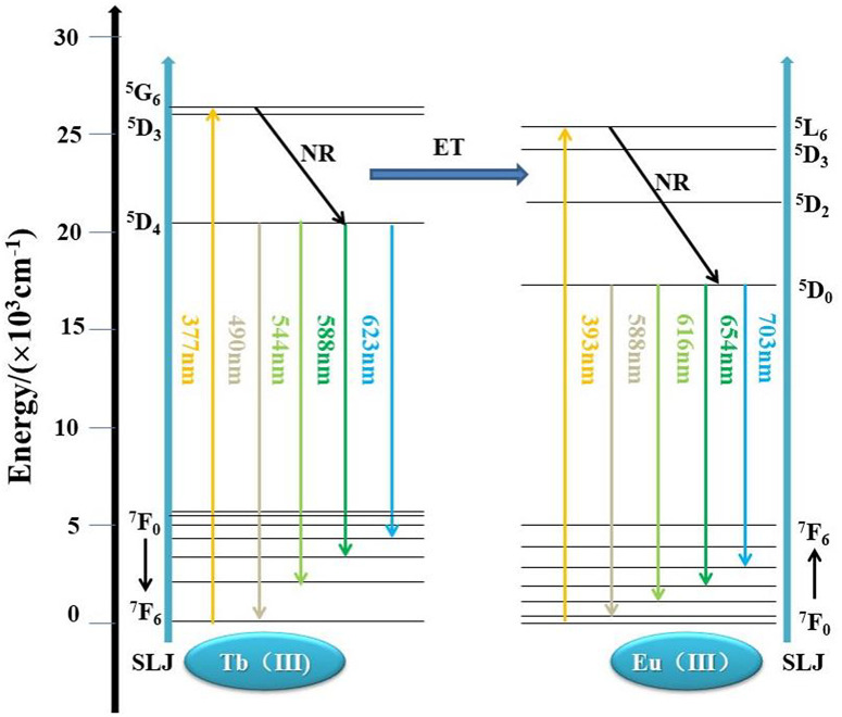 Fig 6