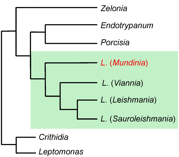 Fig 1