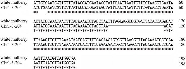 Fig 9