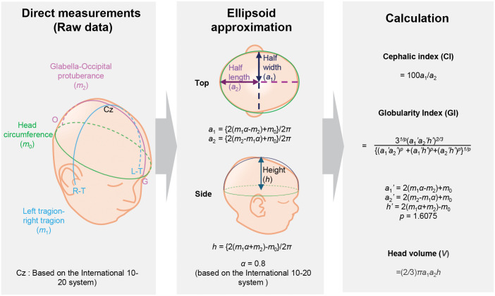 Fig 1