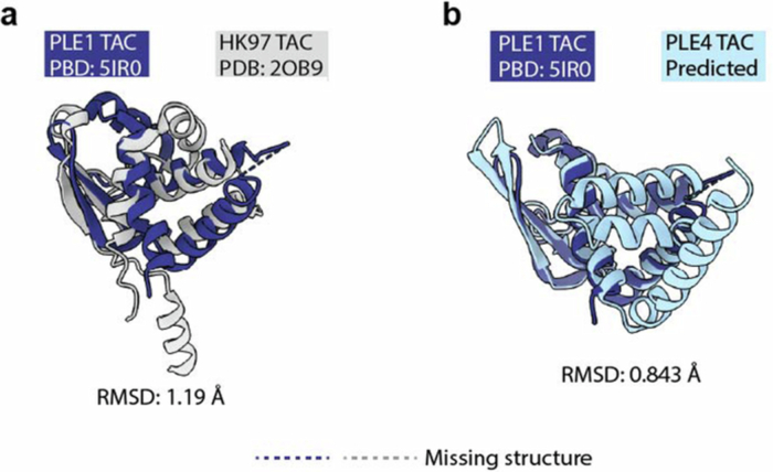 Figure 11