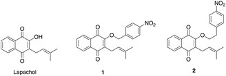FIGURE 1